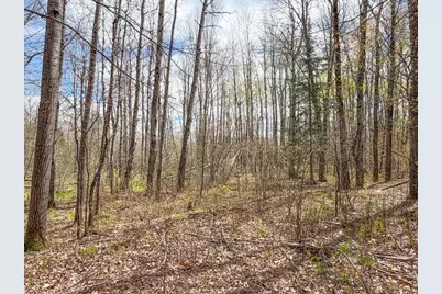 N9868 Woodland Lane, Phillips, WI 54555 - Photo 34