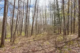 N9868 Woodland Ln, Phillips, WI 54555 - Photo 34