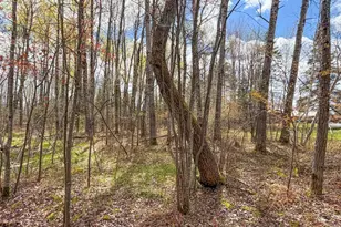 N9868 Woodland Ln, Phillips, WI 54555 - Photo 36