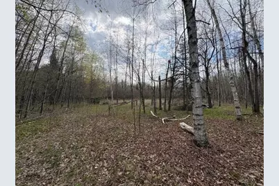 242681 Tobias Road, Aniwa, WI 54408 - Photo 2