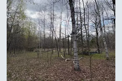 242681 Tobias Road, Aniwa, WI 54408 - Photo 8