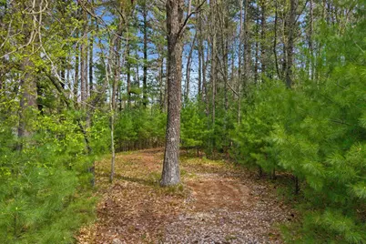 Lot 42 South Bluff Trail, Wisconsin Rapids, WI 54494 - Photo 6