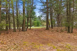 1710 46th St, Wisconsin Rapids, WI 54494 - Photo 42