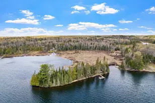 8846 Johnson Point Ln, Land O Lakes, WI 54540 - Photo 58