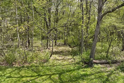 Lot 14 Lucille Lane, Neillsville, WI 54456 - Photo 6