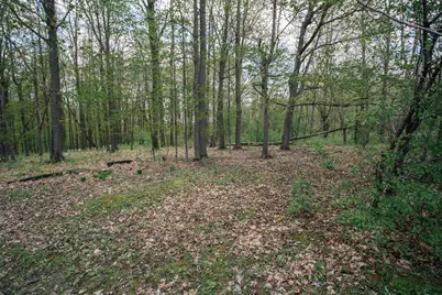 Lot 14 Lucille Lane, Neillsville, WI 54456 - Photo 4