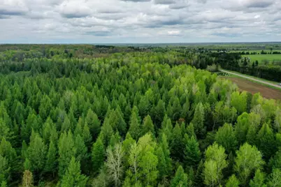 W6103 County Road O, Ogema, WI 54459 - Photo 20