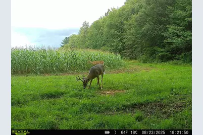 W6103 County Road O, Ogema, WI 54459 - Photo 28