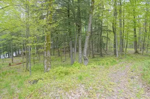 N221 Lamer Dr, Ogema, WI 54459 - Photo 32