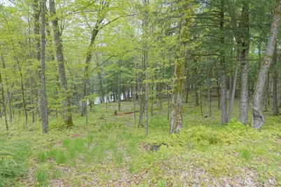 N221 Lamer Drive, Ogema, WI 54459 - Photo 36