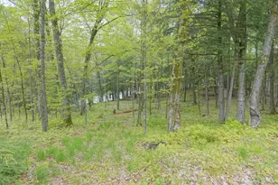 N221 Lamer Dr, Ogema, WI 54459 - Photo 36