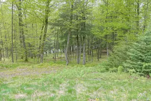 N221 Lamer Dr, Ogema, WI 54459 - Photo 30