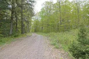 N221 Lamer Dr, Ogema, WI 54459 - Photo 28