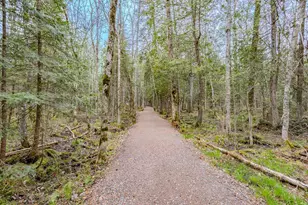 9014 N Star Rd, , WI 54557 - Photo 44