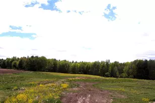 N4144 Marg Ave, Pine Valley, WI 54456 - Photo 60