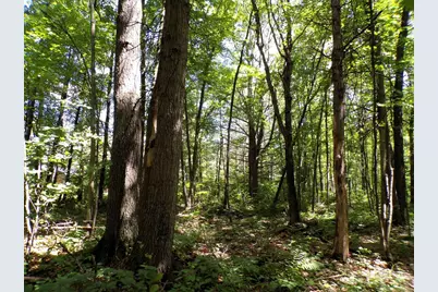 W11515 State Highway 95, , WI 54611 - Photo 20