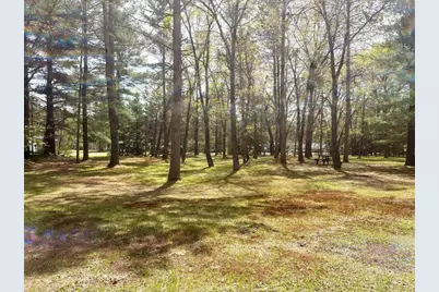 N8784 Bernyce Lane, Willard, WI 54493 - Photo 6