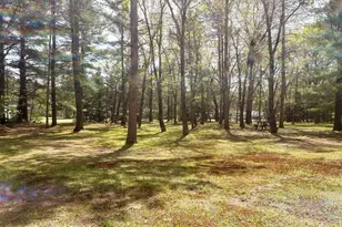 N8784 Bernyce Ln, Willard, WI 54493 - Photo 6