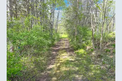 5650 W Tower Road, Winter, WI 54896 - Photo 52