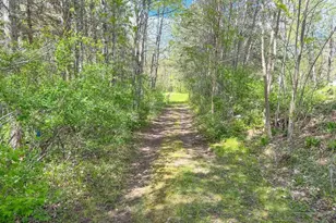 5650 W Tower Rd, Winter, WI 54896 - Photo 52