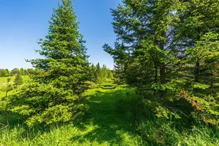 145568 Brookridge Dr, Merrill, WI 54452 - Photo 48