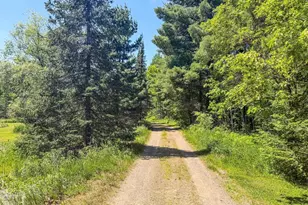4824N Lake Winter Rd, Winter, WI 54896 - Photo 60