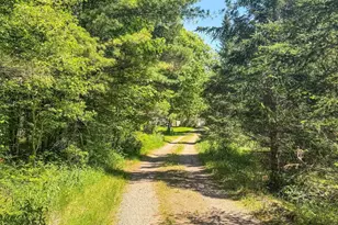 4824N Lake Winter Rd, Winter, WI 54896 - Photo 58