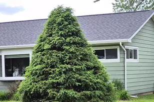 708 S Felker Ave, Marshfield, WI 54449 - Photo 40