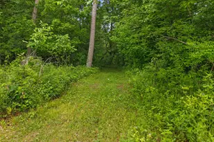 767 McKeel Rd, Babcock, WI 54413 - Photo 40