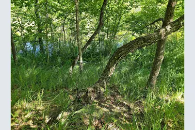 1033 Czech Lane, Friendship, WI 53934 - Photo 22
