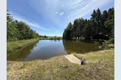 234801 Venzke Road, Athens, WI 54411 - Photo 32