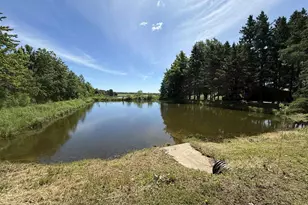 234801 Venzke Rd, Athens, WI 54411 - Photo 32