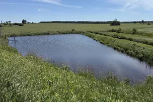234801 Venzke Rd, Athens, WI 54411 - Photo 30