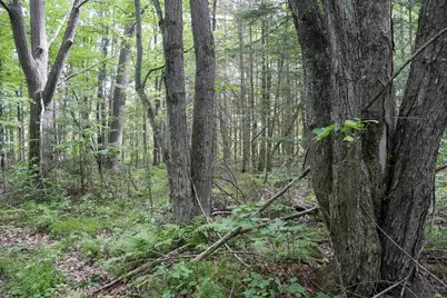 W2175 County Road M, Rib Lake, WI 54470 - Photo 32