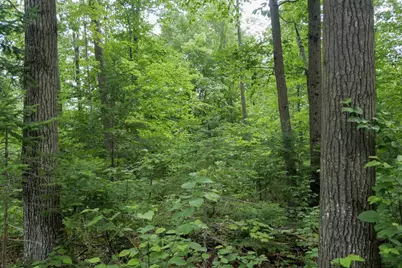 W2175 County Road M, Rib Lake, WI 54470 - Photo 30