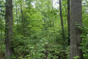 W2175 County Rd M, Rib Lake, WI 54470 - Photo 30
