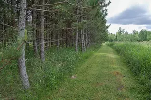 W2175 County Rd M, Rib Lake, WI 54470 - Photo 24