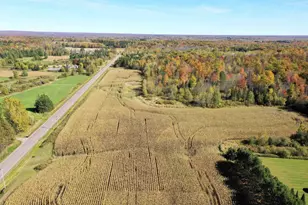 W2175 County Rd M, Rib Lake, WI 54470 - Photo 28