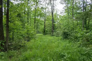 W2175 County Rd M, Rib Lake, WI 54470 - Photo 26