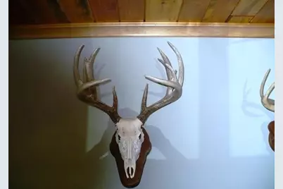 W7512 Poertner Road, Neillsville, WI 54456 - Photo 10