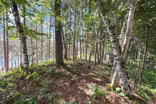 W7675 County Rd W, Phillips, WI 54555 - Photo 48
