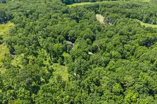 200880 Canopy Ln, Rosholt, WI 54473 - Photo 58