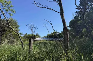 N6559 River Rd, Wittenberg, WI 54499 - Photo 12
