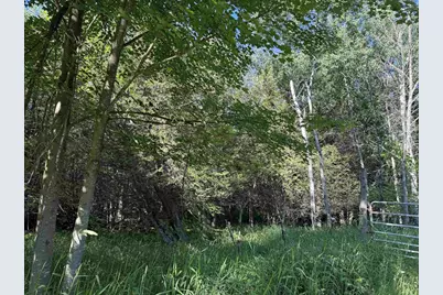 N6559 River Road, Wittenberg, WI 54499 - Photo 14