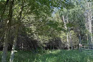 N6559 River Rd, Wittenberg, WI 54499 - Photo 14