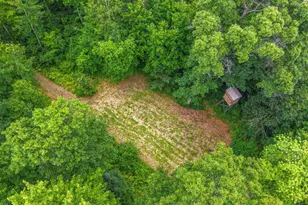 W5570 Lonn Rd, Tomahawk, WI 54487 - Photo 54