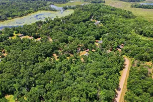 7195 Boelter Lake Ct, Almond, WI 54909 - Photo 24