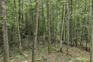3475 Oakhill Ln, Eagle River, WI 54521 - Photo 46