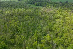 W7181 Duck Creek Ave, Westfield, WI 53964 - Photo 56