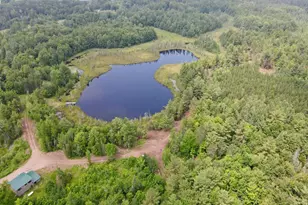 W4601 Olivotti Lake Rd, Irma, WI 54442 - Photo 44